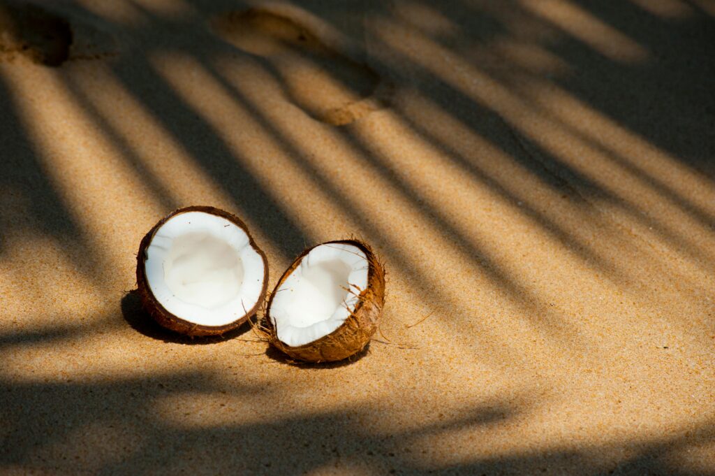 Heaven7-Strandhaus_SriLanka-Dorftisch-Charity1